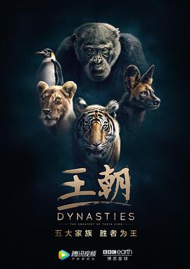 王朝第一季英语版