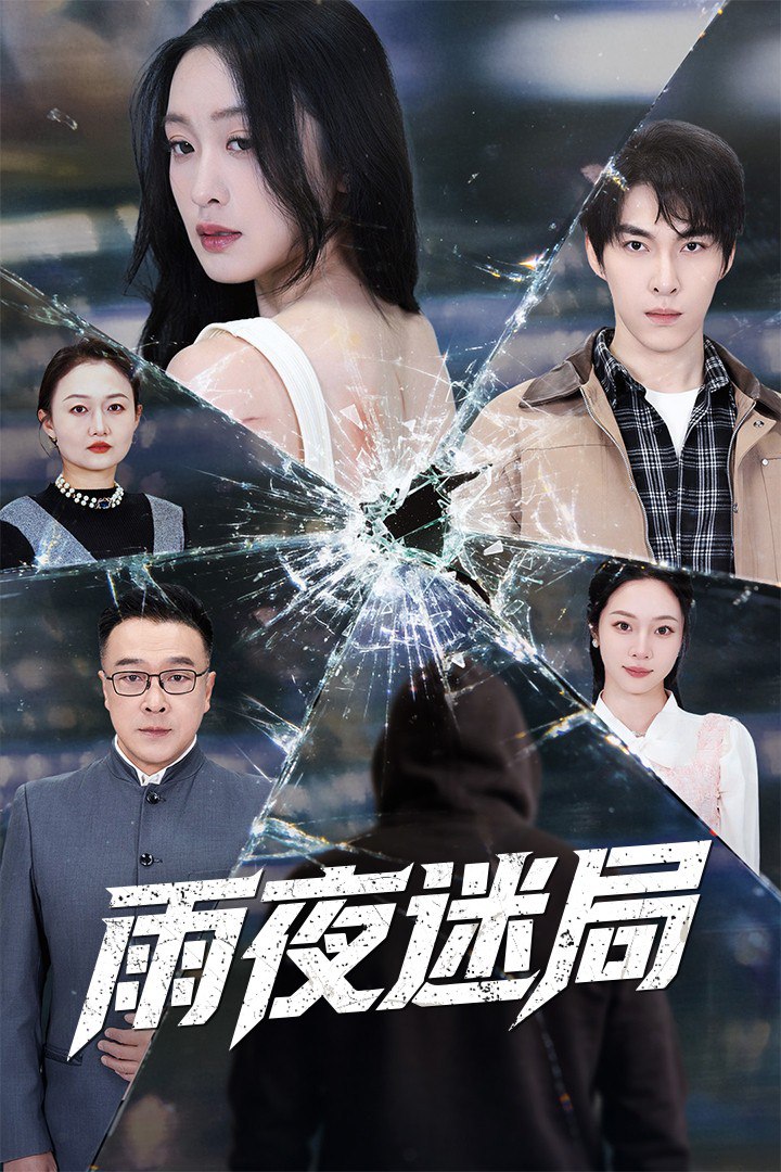 雨夜迷局(沉默的真相之雨夜原罪)