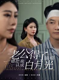 老公得了脑癌错把我认成白月光