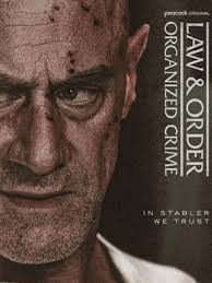 法律与秩序：组织犯罪第五季