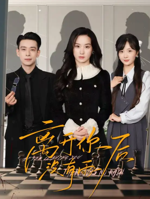 离开你后没有雨