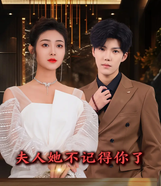 夫人她不记得你了