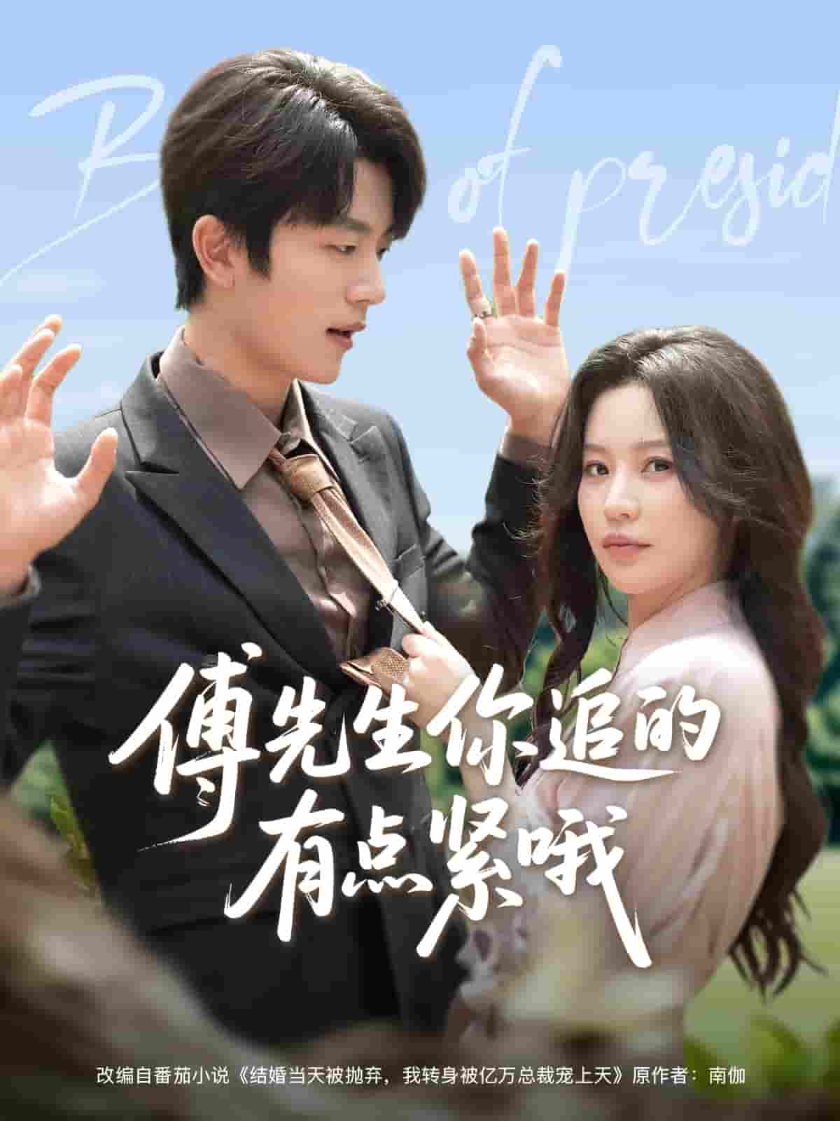 傅先生你追的有点紧哦