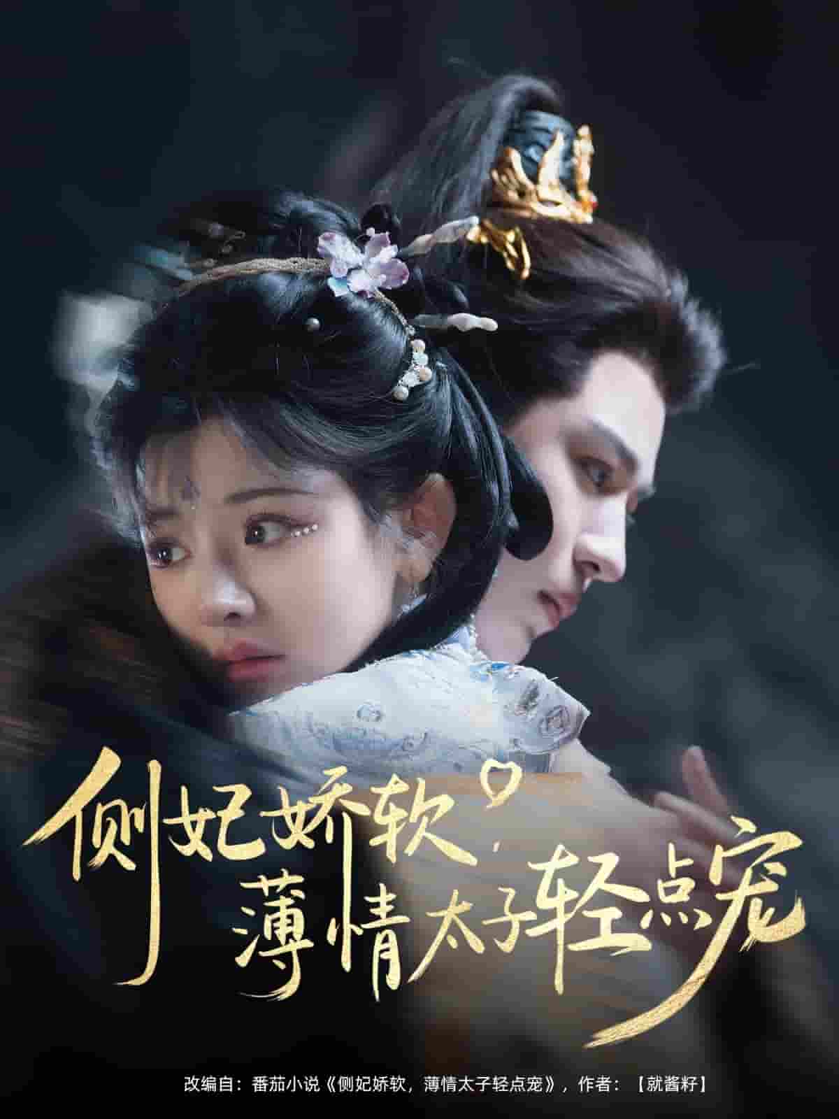 侧妃娇软薄情太子轻点宠