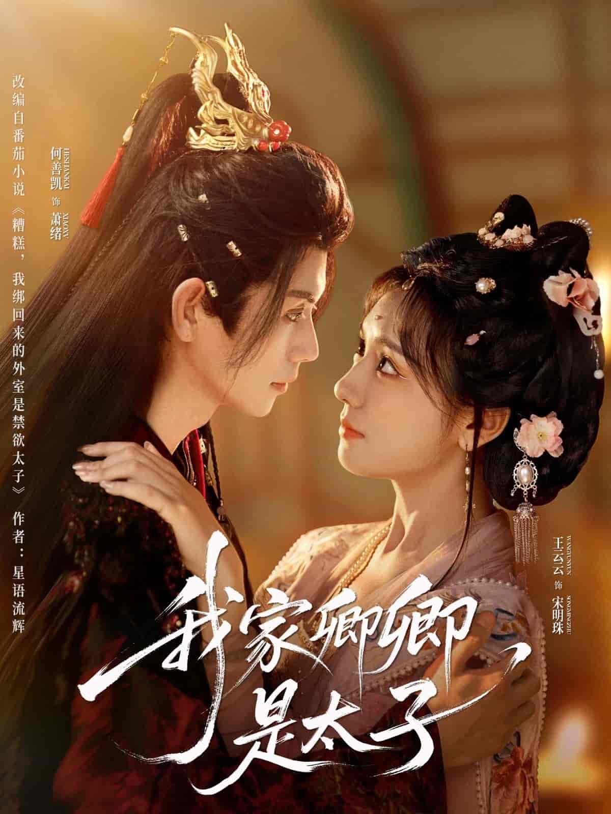 我家卿卿是太子