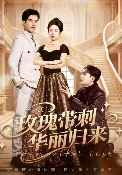 玫瑰带刺华丽归来(婚前测试他不配)