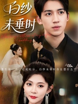 老婆婚礼我当证婚人