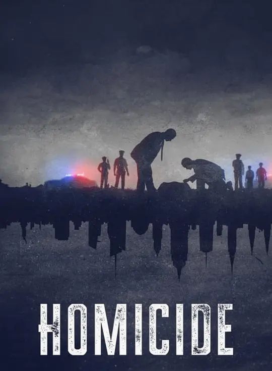 凶杀重案实录：纽约第二季