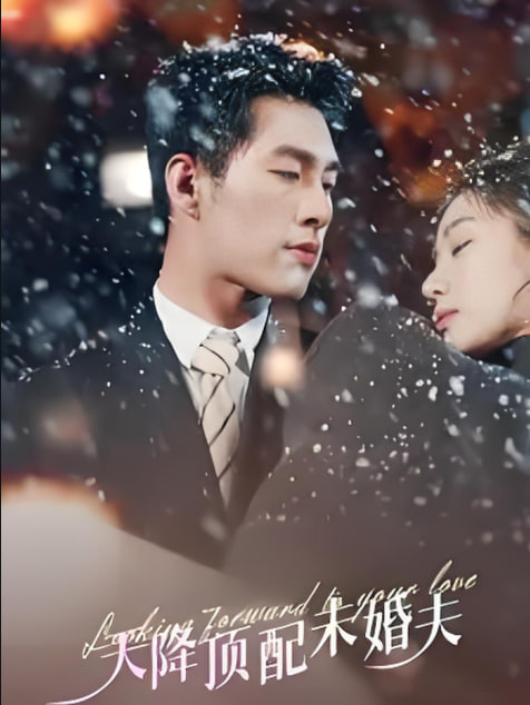 天降顶配未婚夫(挖机救场天降顶配未婚夫)