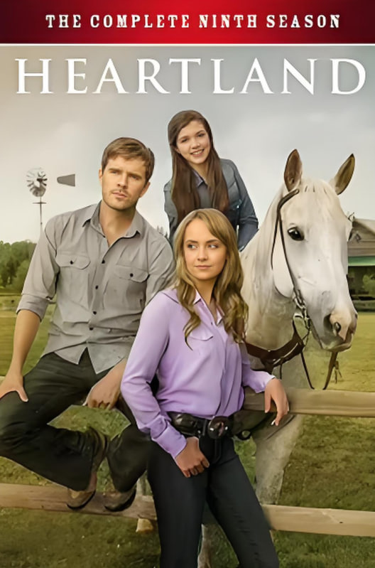 心灵之地第十一季