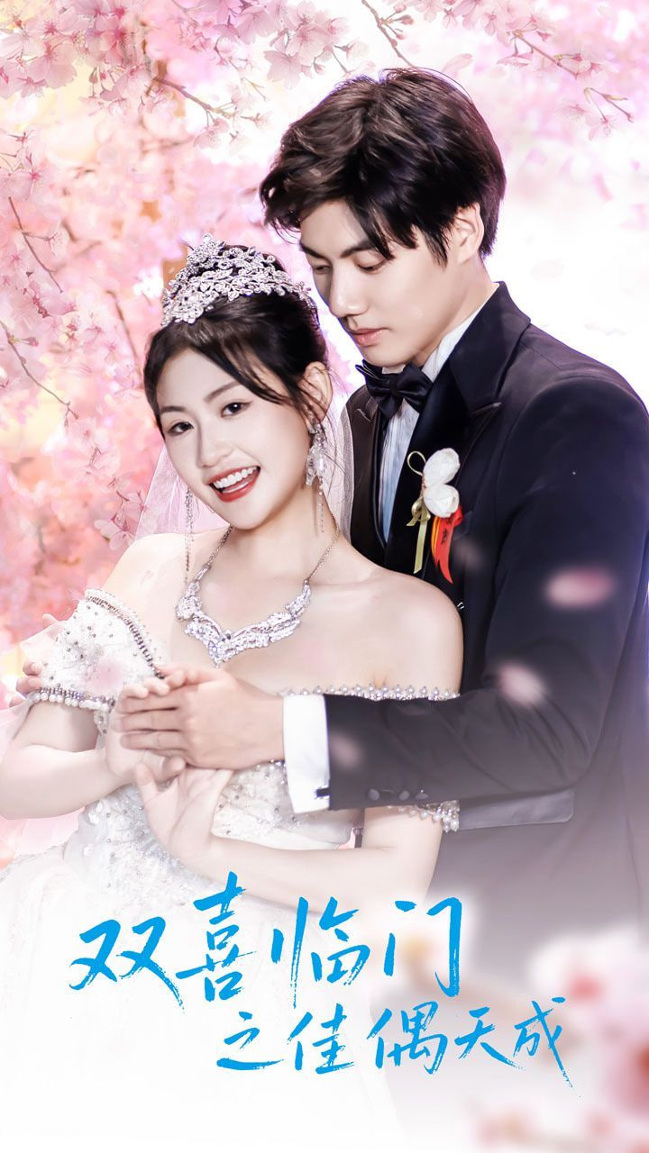 双喜临门之佳偶天成